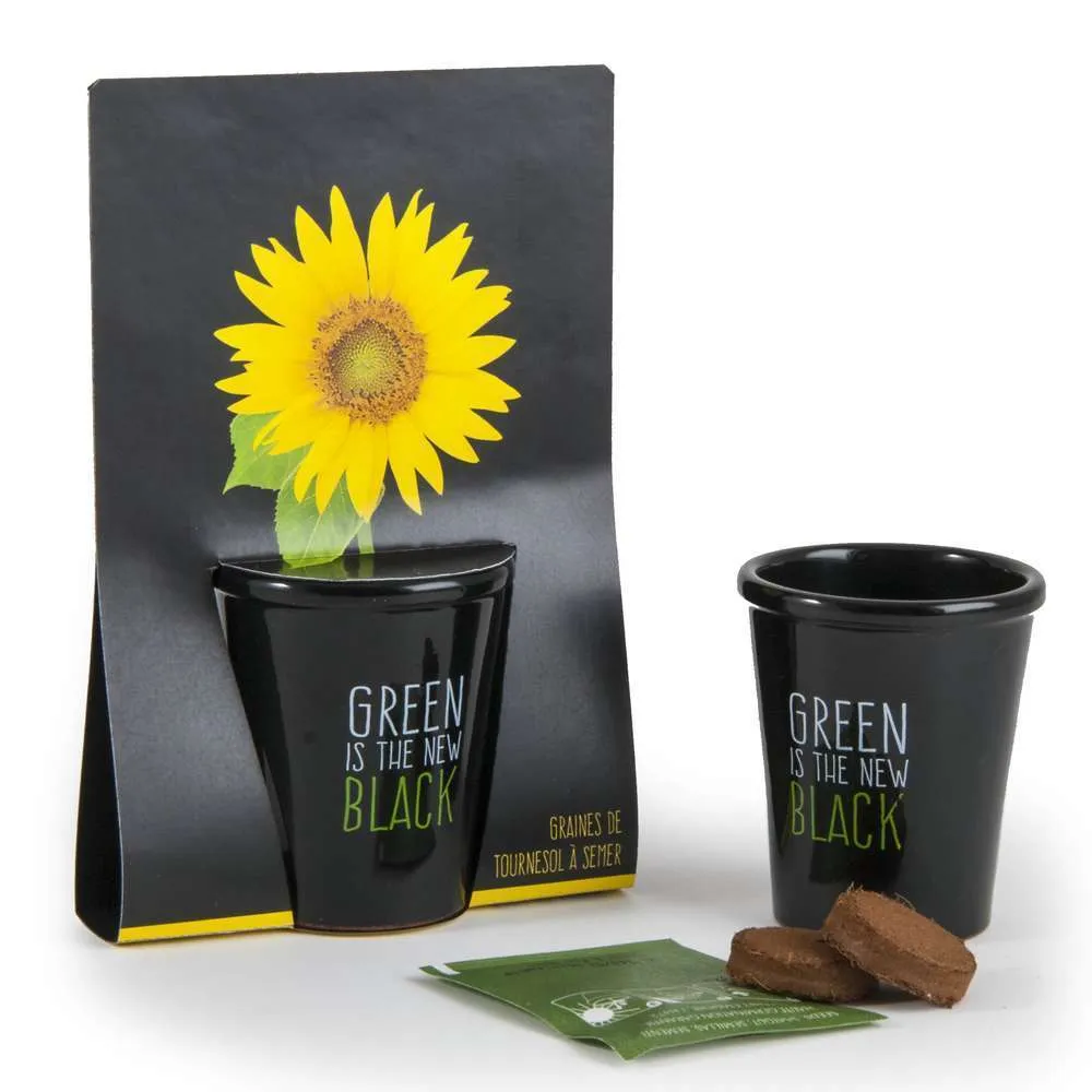 Kit de plantation black Tournesol