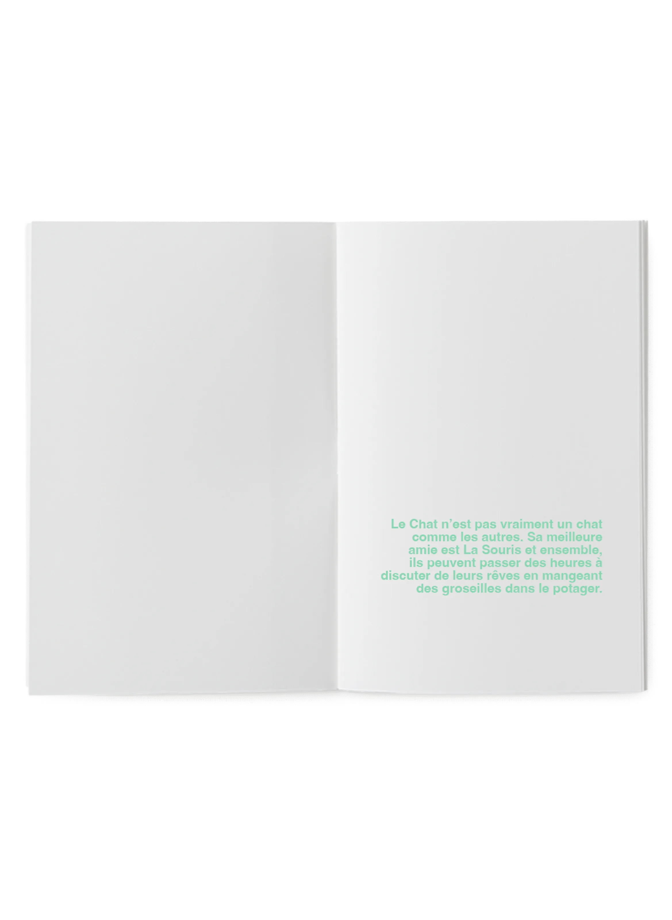 SUPEREDITIONS  Livre à illustrer Le chat volant - Multicolore